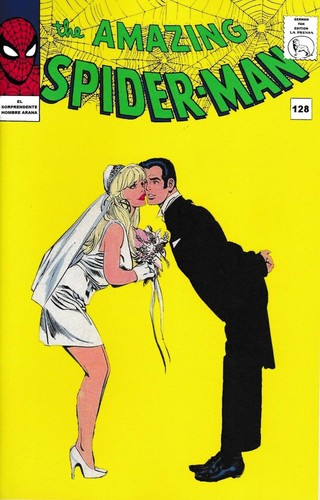 Sorprendente hombre araña - el,