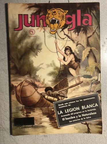 Jungla 113 - (cile, 70)