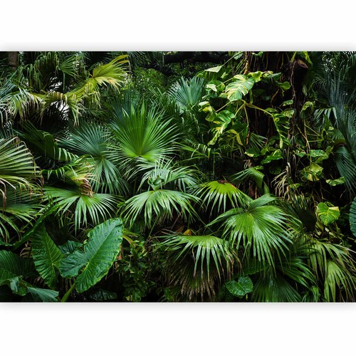 Carta parati fotografica - parati,