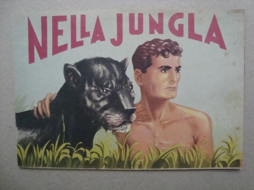 Serie fustellati nella - fustellati, n°11